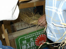 DSC00692.jpg