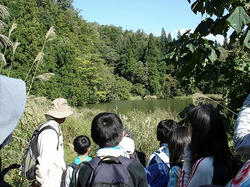 DSC00865.jpg