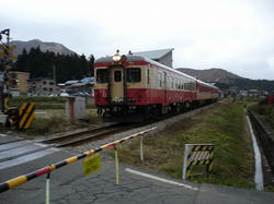 DSC01340.jpg