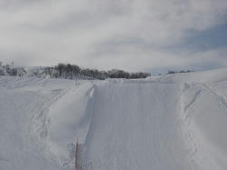 DSC01793.jpg