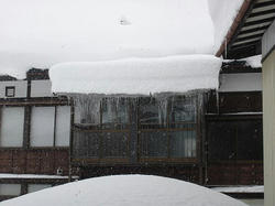 DSC01804.jpg