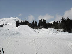 DSC02056.jpg