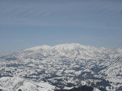 DSC02087.jpg