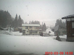 06ec726b.jpg