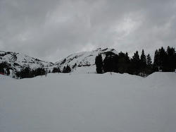 DSC02153.jpg