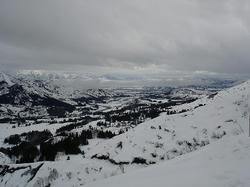 DSC02155.jpg