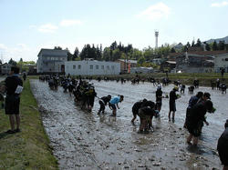 DSC02633.jpg