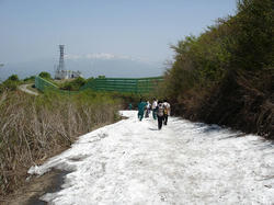 DSC02703.jpg
