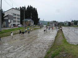 DSC02729.jpg