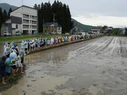 DSC02743.jpg