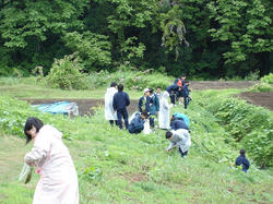 DSC02825.jpg