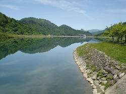 DSC03019.jpg