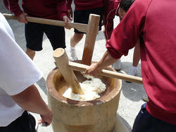 DSC03063.jpg