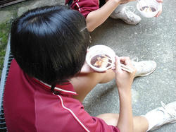 DSC03075.jpg