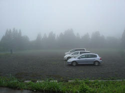 DSC03237.jpg