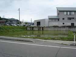 DSC03251.jpg