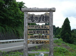 DSC03255.jpg
