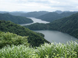 DSC03273.jpg