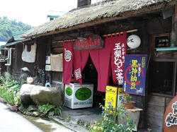 DSC03295.jpg