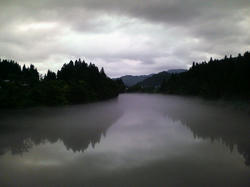 P1010028.jpg