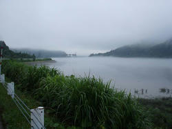 DSC03558.jpg