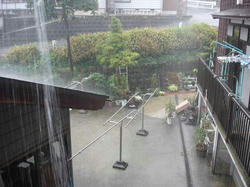 DSC03910.jpg