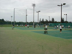 DSC03942.jpg