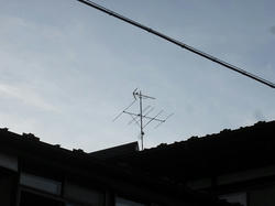 DSC04549.jpg