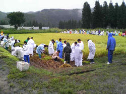 P1010036.jpg