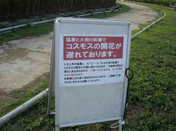 DSC04726.jpg