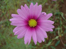 DSC04803.jpg