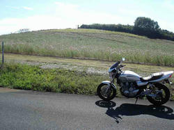 DSC04816.jpg