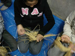 DSC04842.jpg
