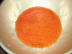 DSC05226.jpg