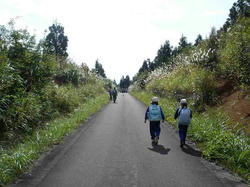 DSC05785.jpg