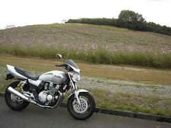 DSC05790.jpg