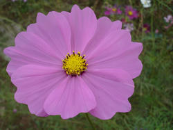 DSC05792.jpg