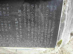DSC05811.jpg