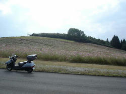DSC05813.jpg