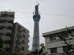 DSC05867.jpg