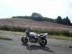 DSC06001.jpg