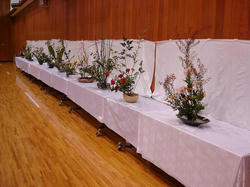 DSC06049.jpg