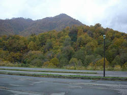 DSC06134.jpg