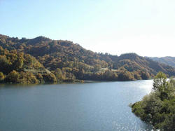 DSC06166.jpg
