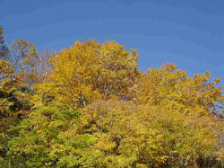DSC06180.jpg
