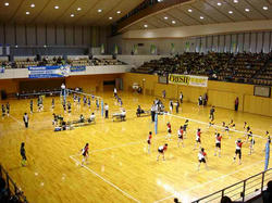 DSC06610.jpg