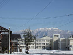 DSC06645.jpg