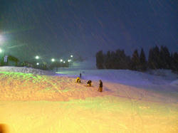 P1010048.jpg