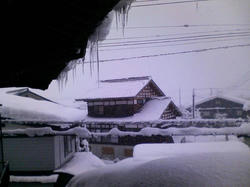 P1010056.jpg