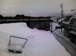 P1010067.jpg